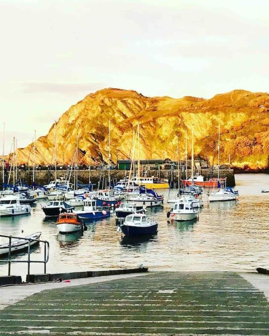 Paramount Apartments Ilfracombe, Arty Seaside Holiday Apartments Екстериор снимка