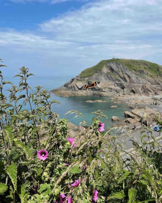 Paramount Apartments Ilfracombe, Arty Seaside Holiday Apartments Екстериор снимка